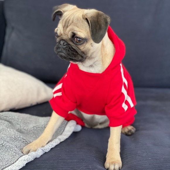 Red athletic hooded puppy tracksuit - Picture 2 of 13